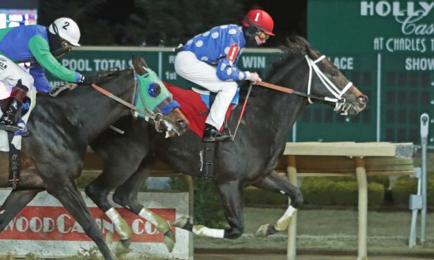 Moonlit Notion hopes to follow in mom’s footsteps