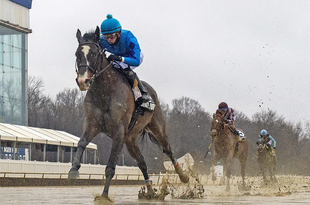 Allard considering next move for Quint’s Brew