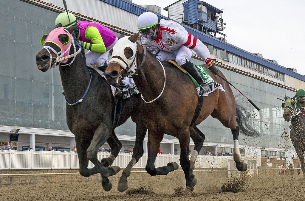 Barbadian Runner looks to keep it going in Star de Naskra