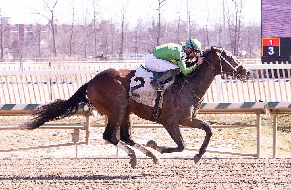 Surgical Precision sharp in victory