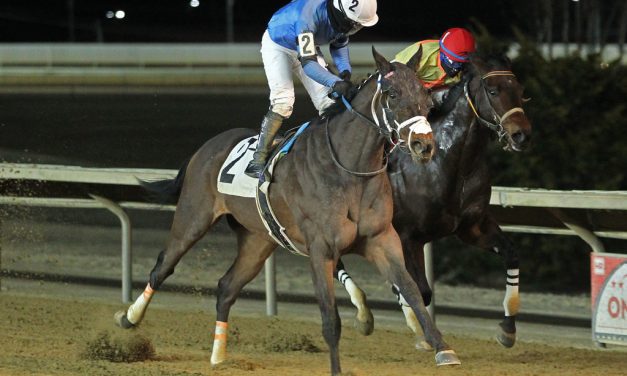 Gran Andrews thriving in CT starter allowances