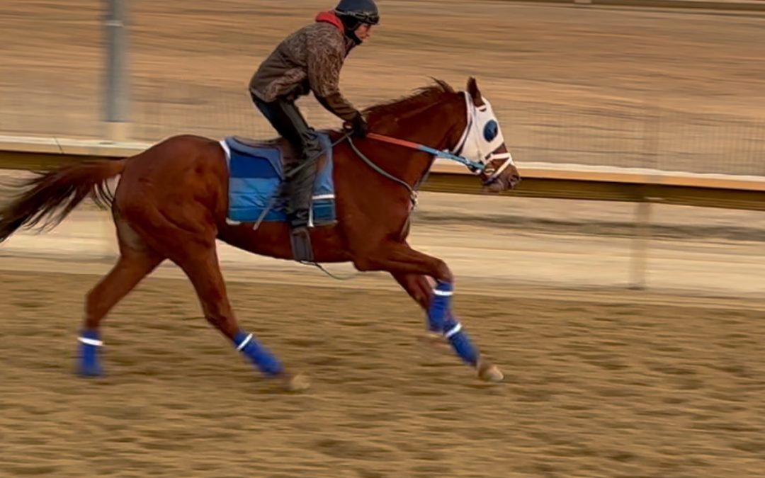 What to watch at Charles Town this week