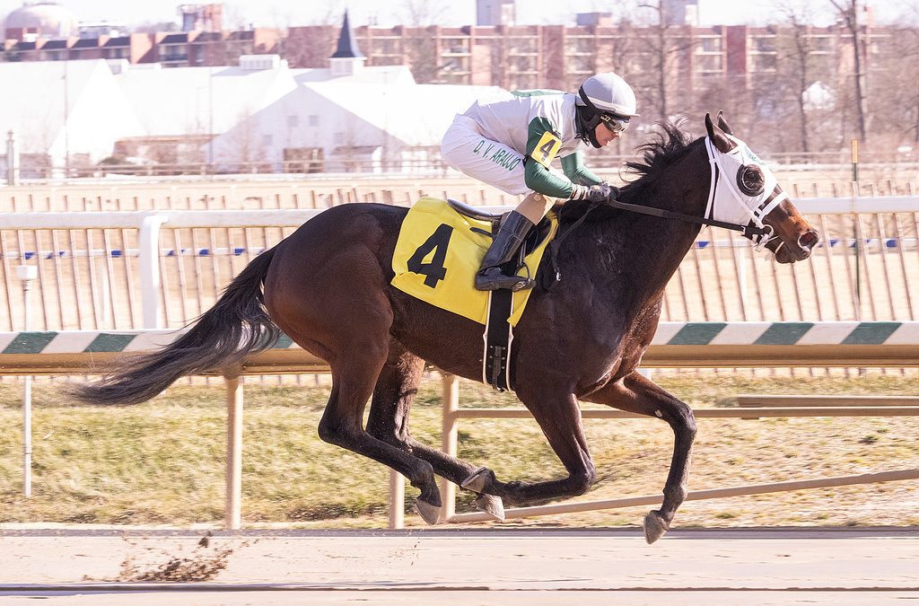 Safe Trust looks to turn tables in Beyond the Wire