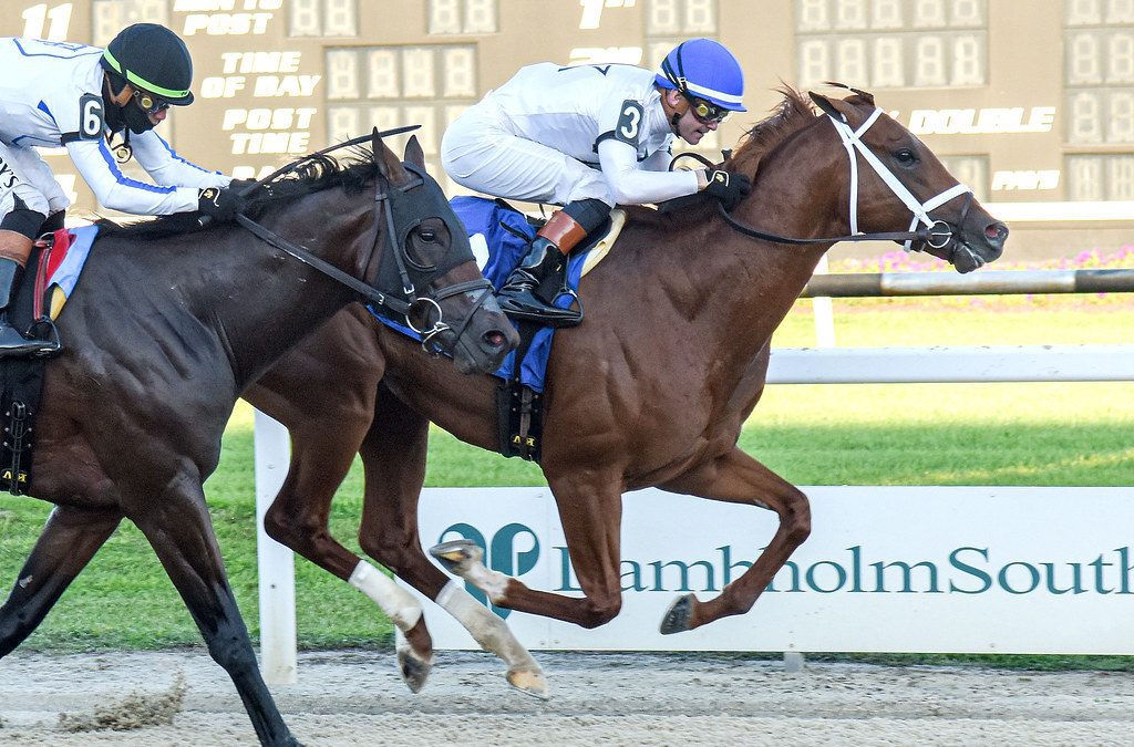 Derby Trail: John Hancock favored in La. Derby