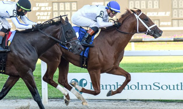 Derby Trail: John Hancock favored in La. Derby