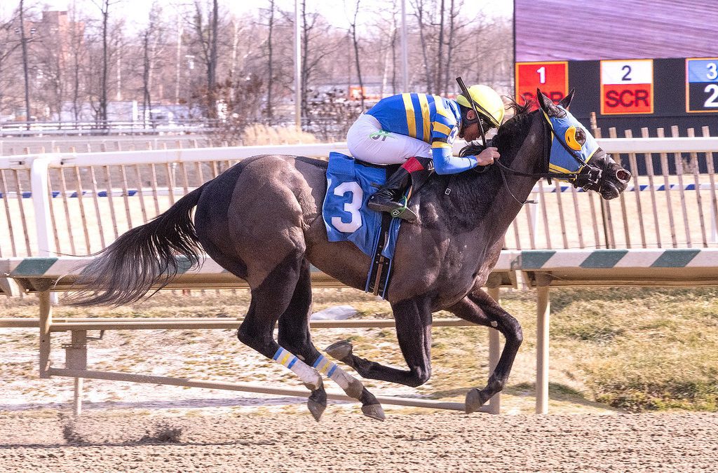 Laurel: Blinkers change helps Double Airo take allowance