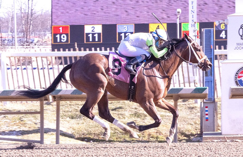 Mid-Atlantic Three Stars: March 3