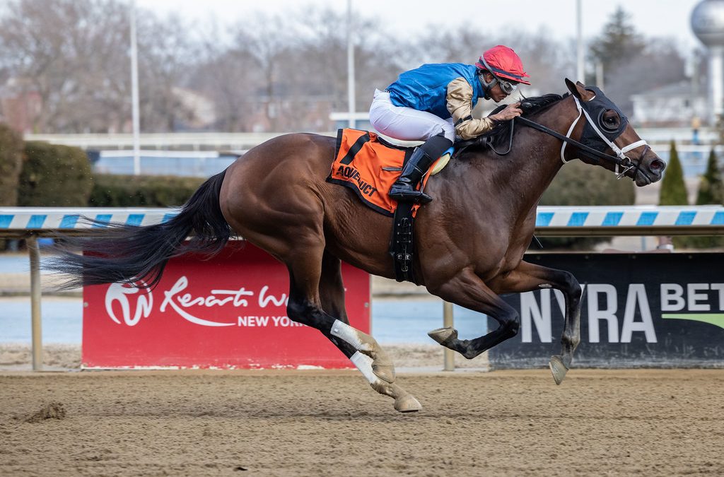 Derby Trail Update: Flood Zone posts Gotham upset