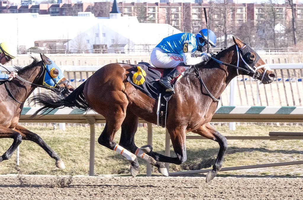 Laurel: Faster Gator moves to 2-for-2