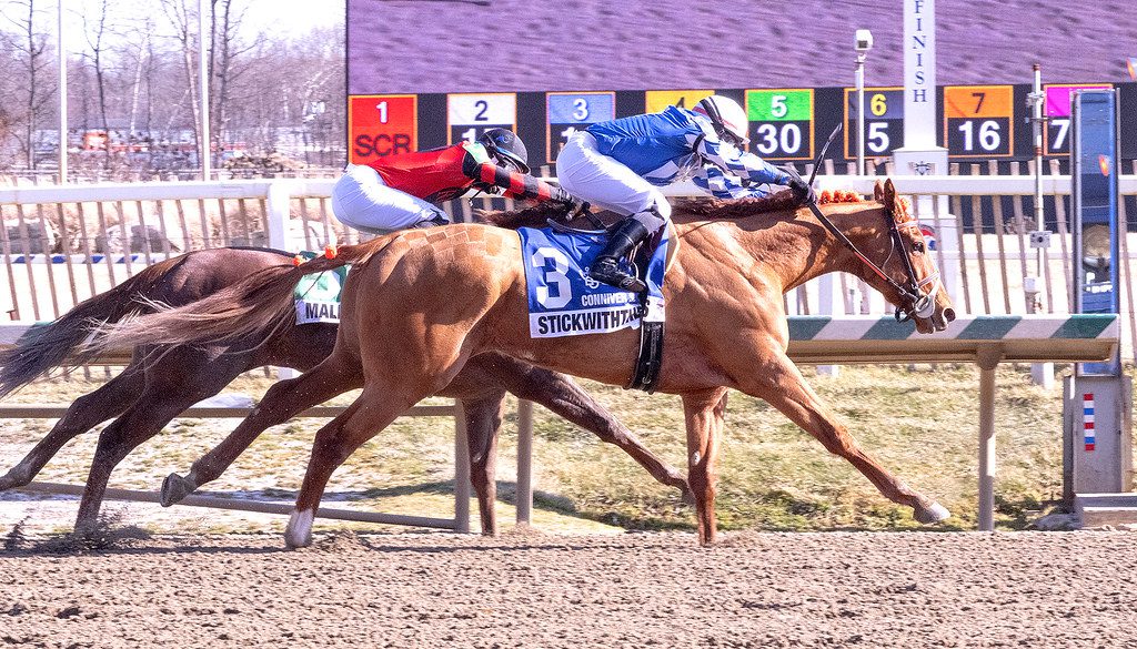 Stickwiththecolors resolute in Conniver win