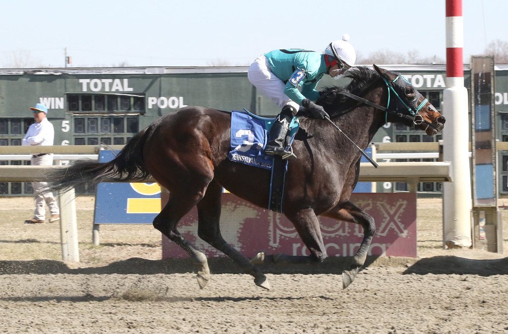 Rider Angel Castillo gets 1,000th win