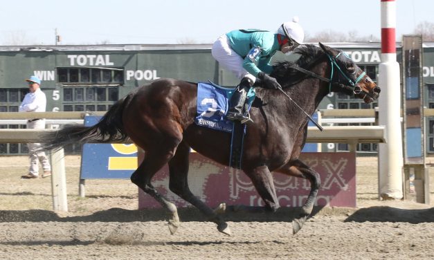 Rider Angel Castillo gets 1,000th win