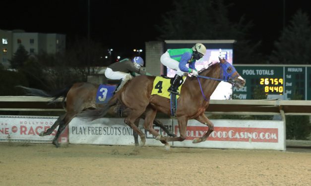 “Big, happy” Hammer leads way for Gazzier barn