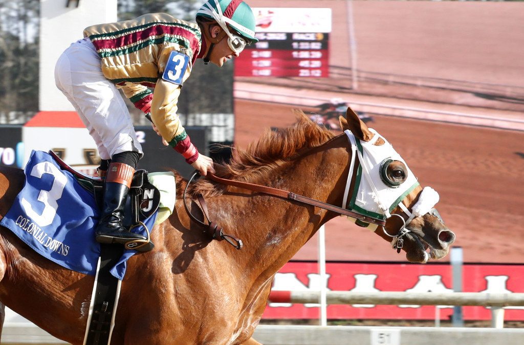 Preakness Profile: American Promise