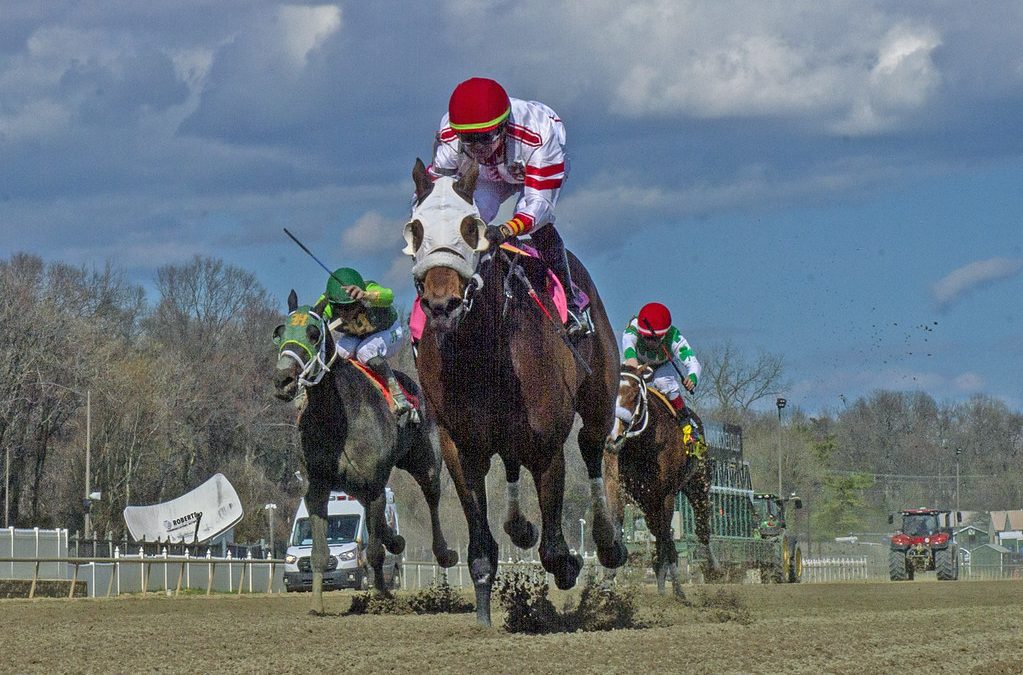 Could be a high-stakes Saturday for the Gorham barn