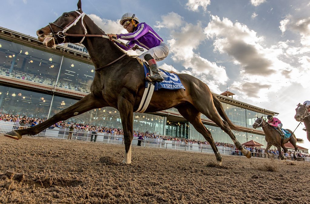 Derby trail: Tiztastic, Final Gambit rally