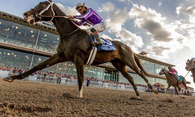 Derby trail: Tiztastic, Final Gambit rally