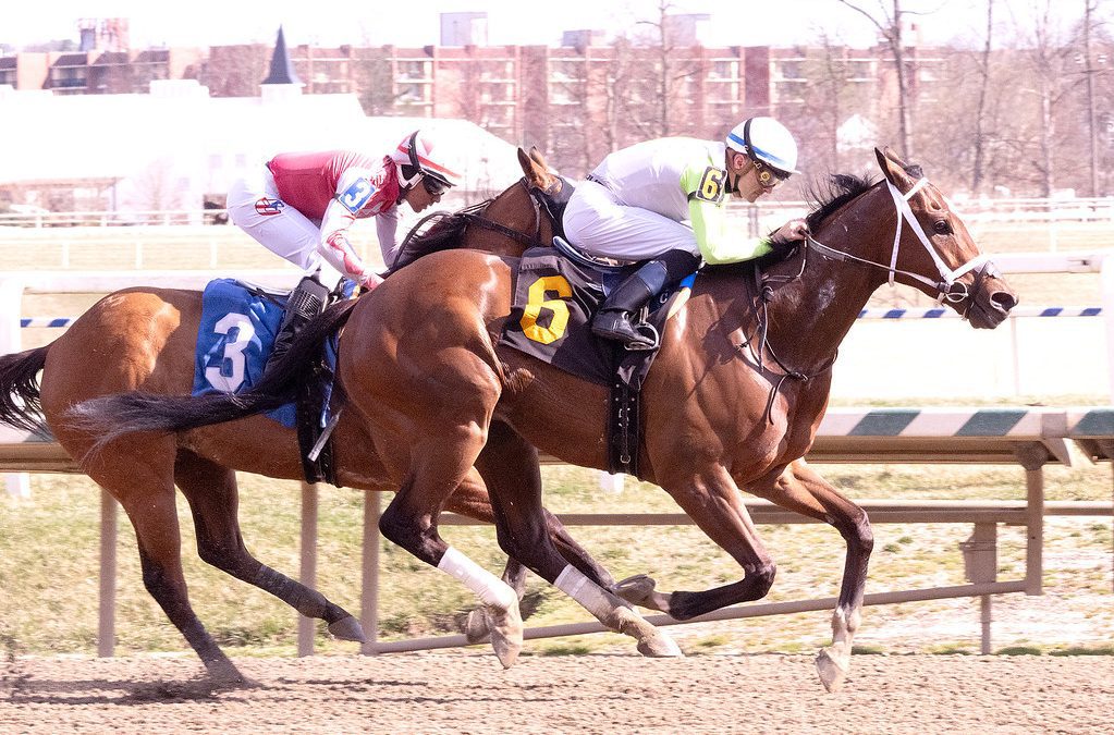 Laurel: Rominski wins sixth straight race