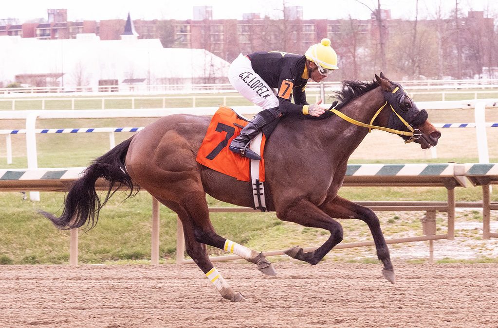 Laurel: Discreet Ops returns running to take feature