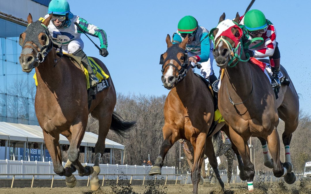 What we’re watching at Laurel Park this weekend