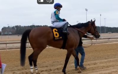 Experts’ Kentucky Derby undercard stakes picks