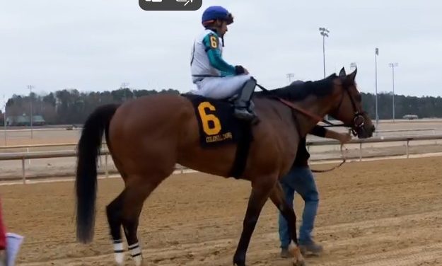 Experts’ Kentucky Derby undercard stakes picks