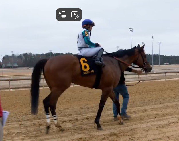 Experts’ Kentucky Derby undercard stakes picks