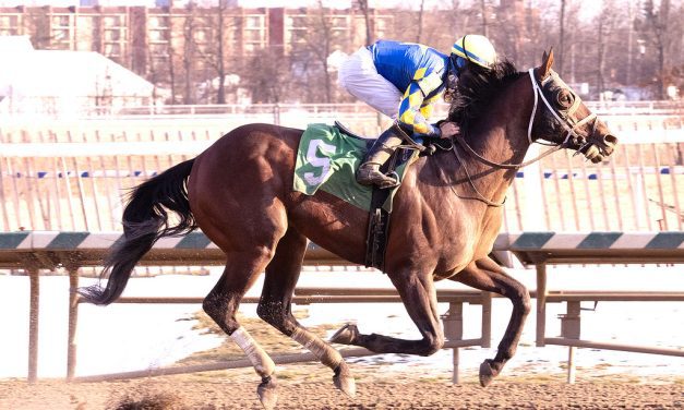 Worcester headlines solid Whiteley