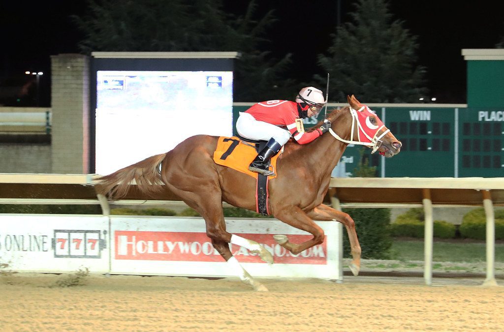 Country Cherry could be next Brown-trained star