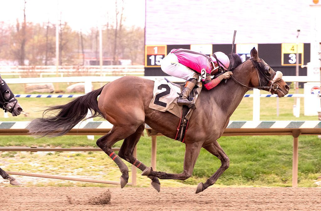 Laurel: Dixie Groove rallies for allowance feature