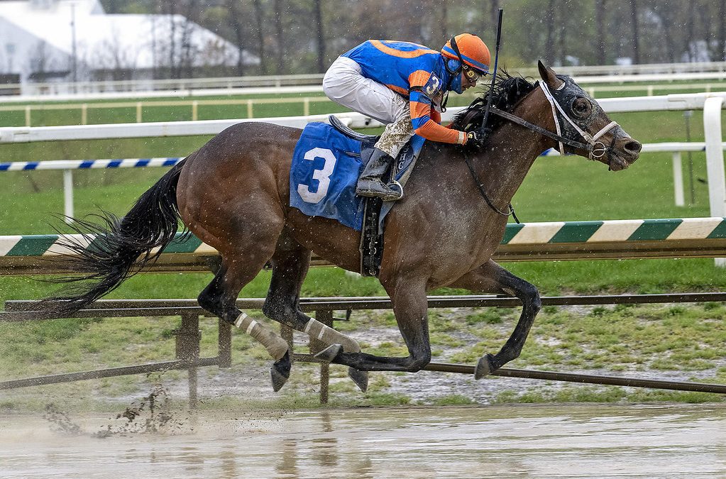 Laurel: Debut wins for Agreed, Weekend Wife