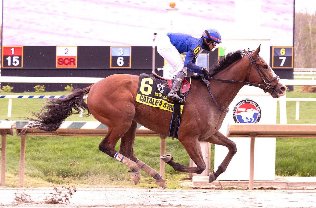 Cataleya Strike rallies to first stakes win in Native Dancer