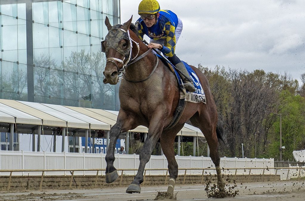 New stakes spice Colonial Downs weekend