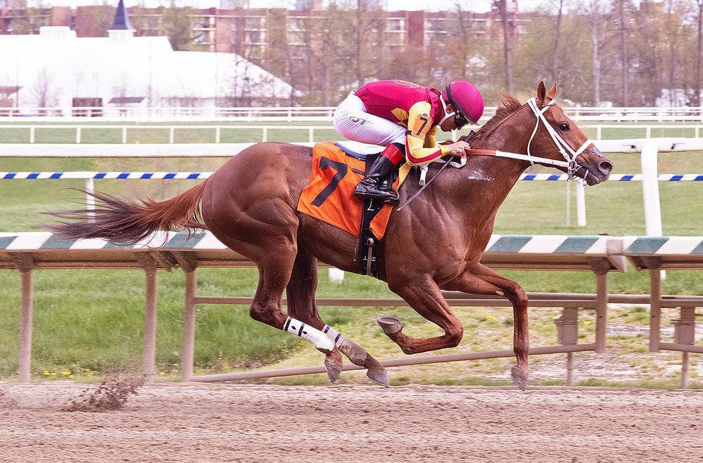 It’s Hammertime returns with sharp score