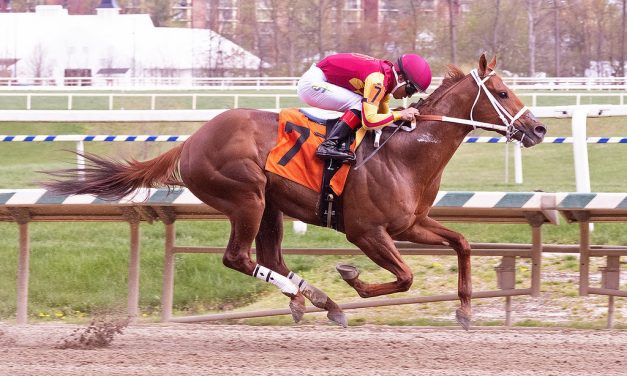 It’s Hammertime returns with sharp score