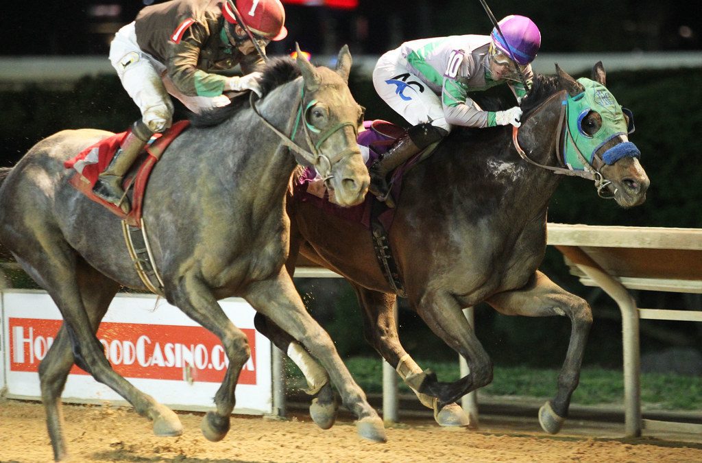 CT: Banner weekend for breeder Jim Miller