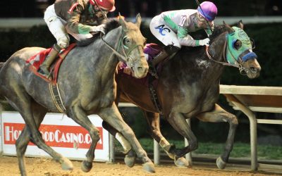 CT: Banner weekend for breeder Jim Miller