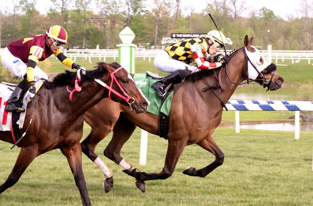 Long trip pays dividends for Alvelo, Tall Order