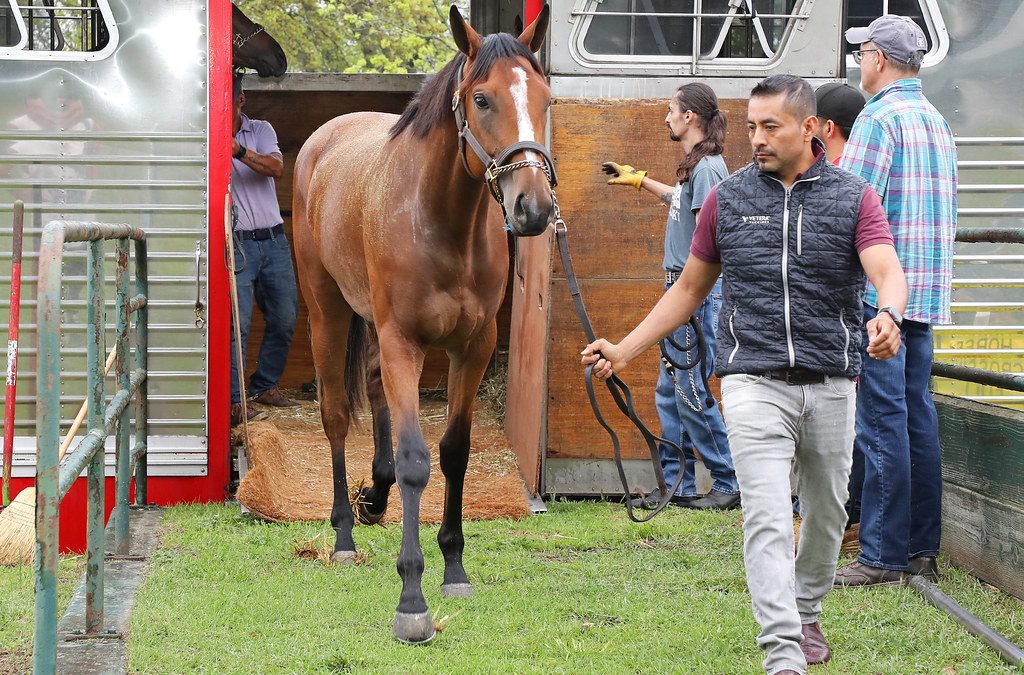 First horses arrive as Monmouth Park stable opens