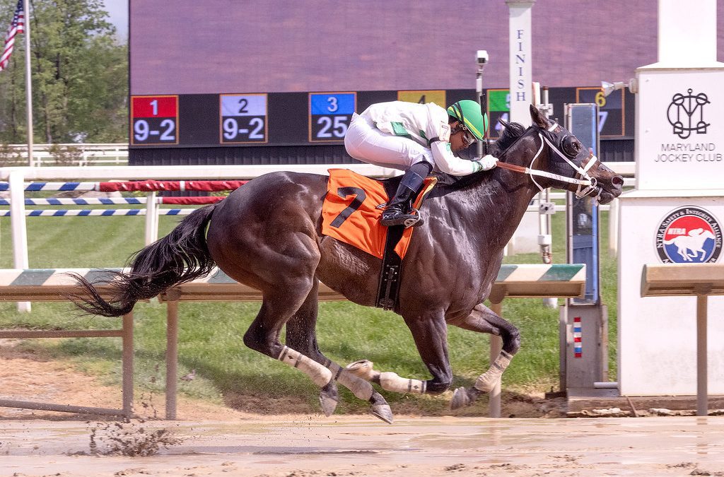 Laurel: Haileysfirstnotion sharp in feature score