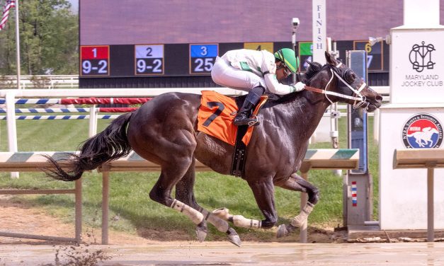 Laurel: Haileysfirstnotion sharp in feature score