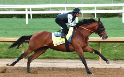 Experts’ Kentucky Derby picks