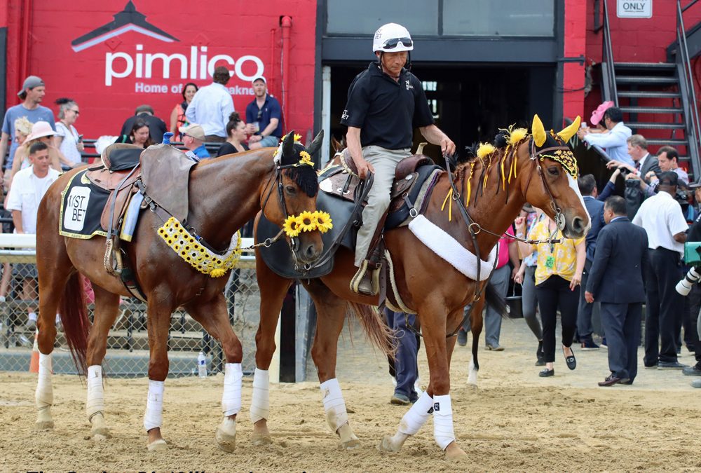 Pimlico: From Preakness pearls to everyday whirls