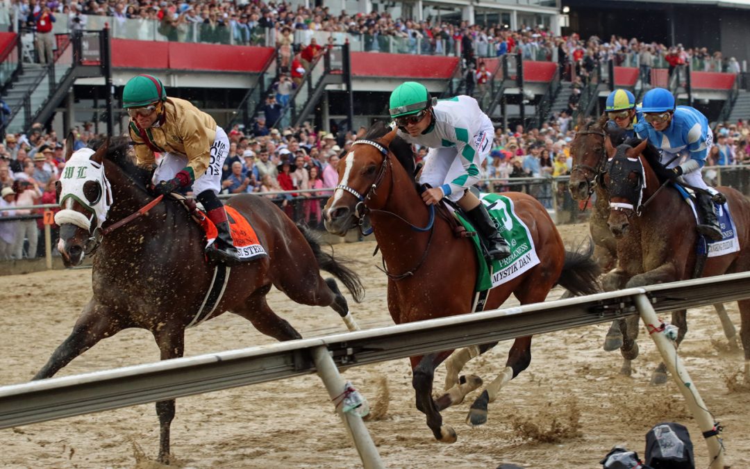 Latest Preakness odds