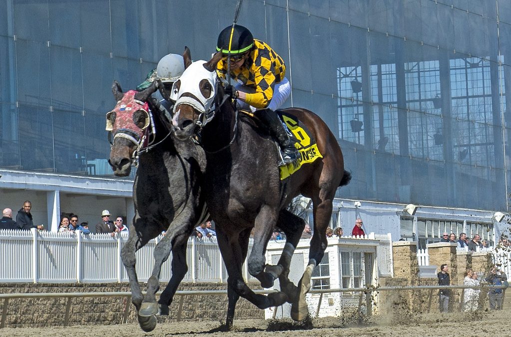 Evenly matched field set for G2 Black-Eyed Susan