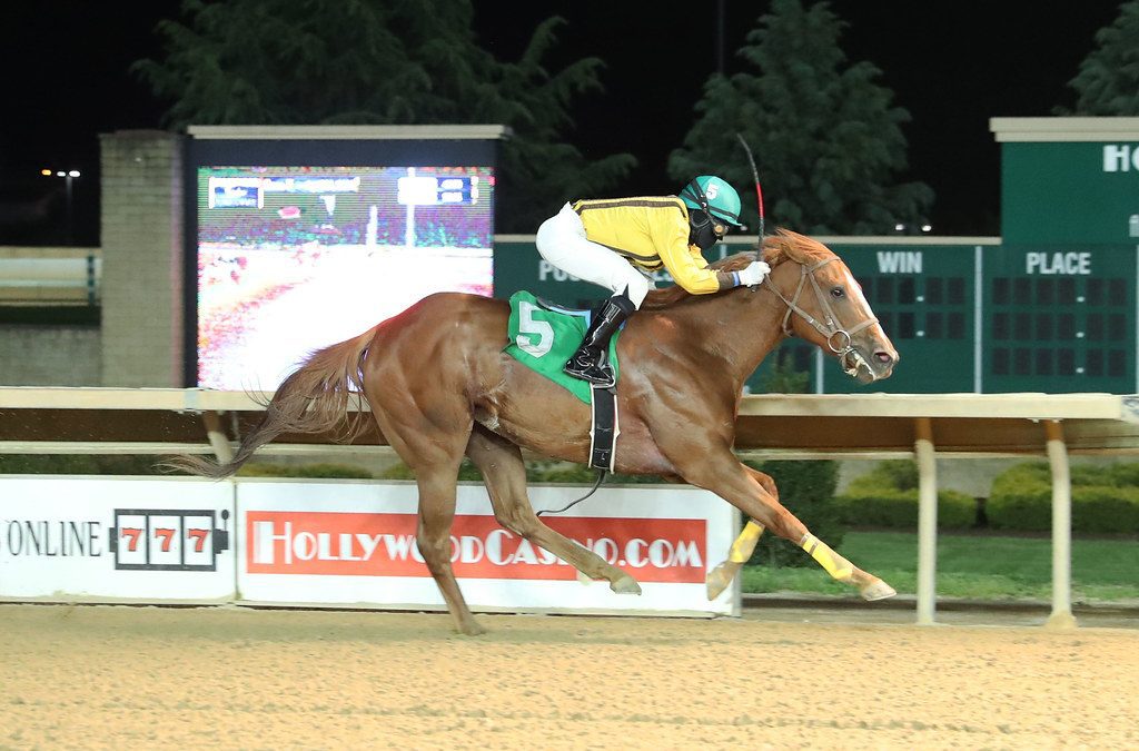 Allformenoneforyou means plenty for her young breeder