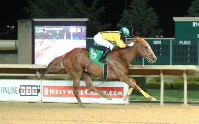 Allformenoneforyou means plenty for her young breeder