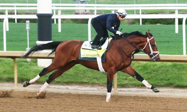 Journalism installed as Preakness favorite
