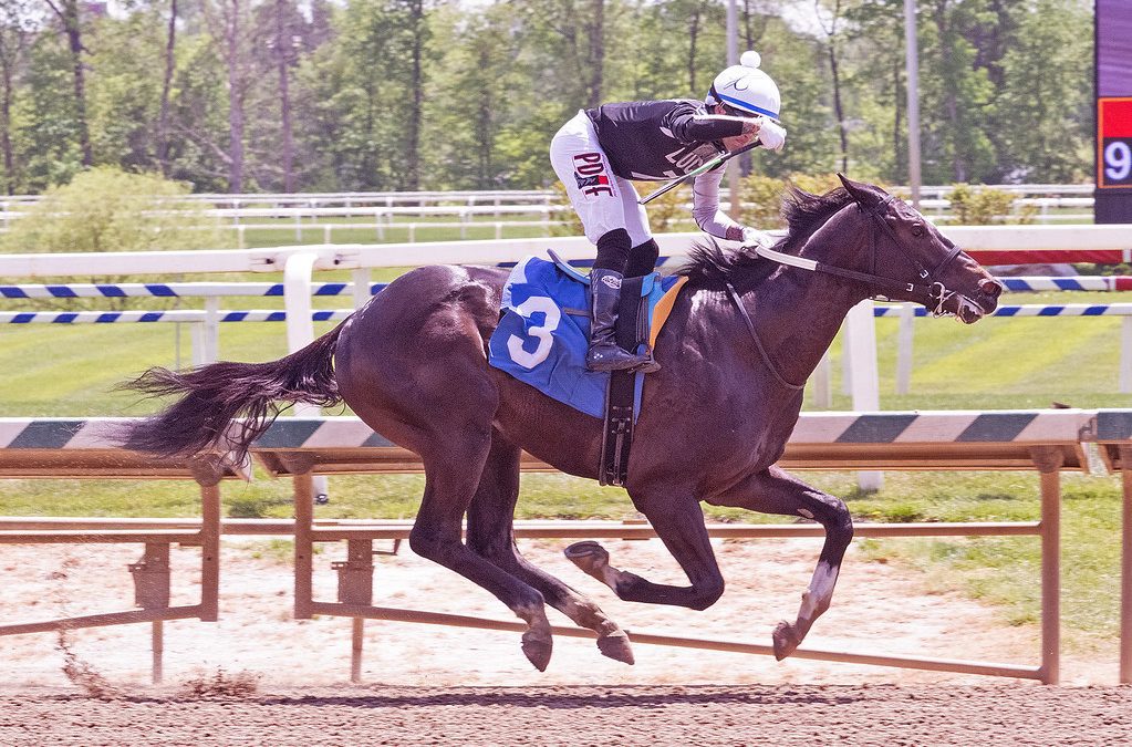 Romeo takes aim at Tremont