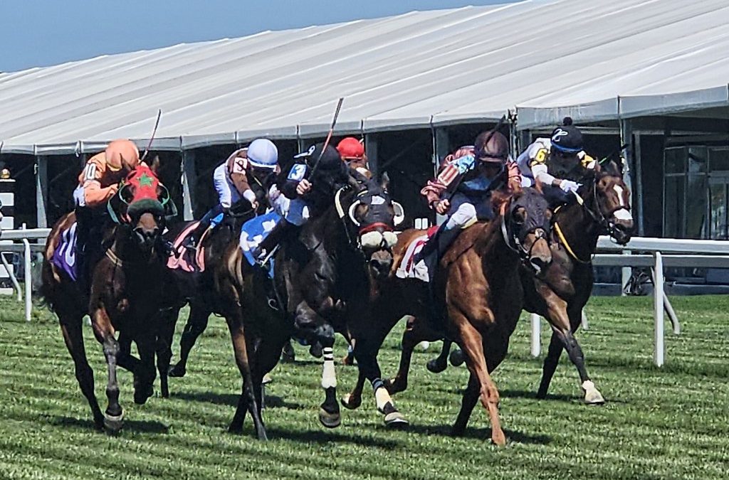 Experts’ Preakness day undercard stakes picks